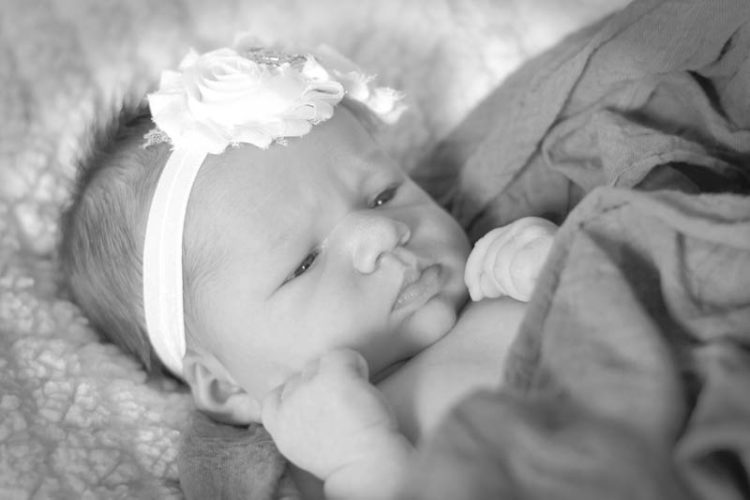 Bailey Ann Shawver